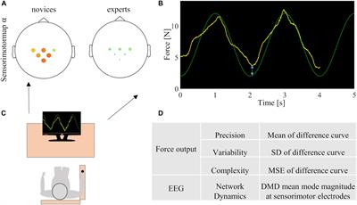 Improved Neural Control of Movements Manifests in Expertise-Related Differences in Force Output and Brain Network Dynamics